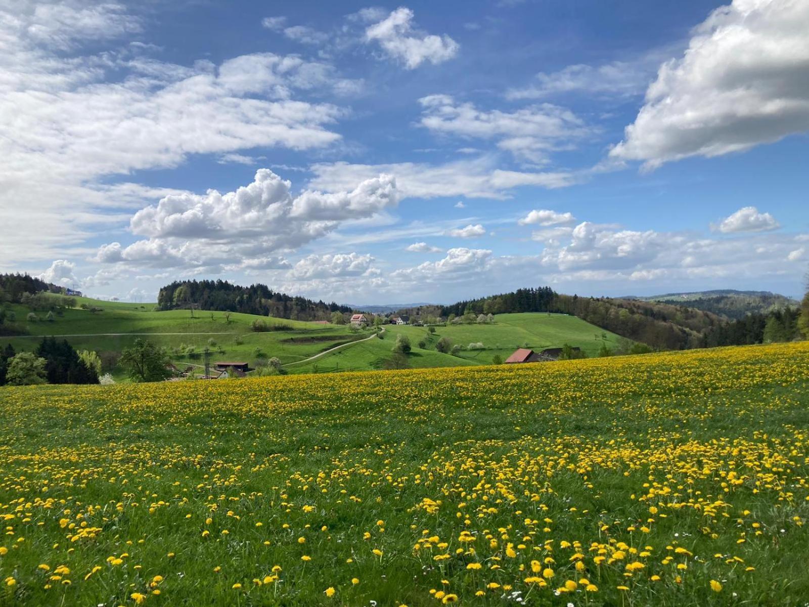 Ferien Im Schwarzwald Freiamt Exterior foto