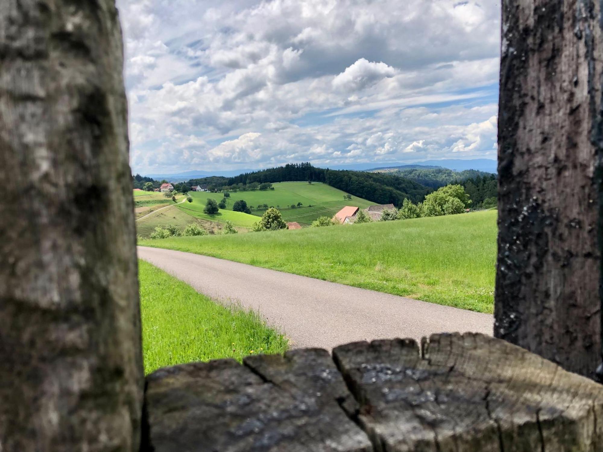 Ferien Im Schwarzwald Freiamt Exterior foto