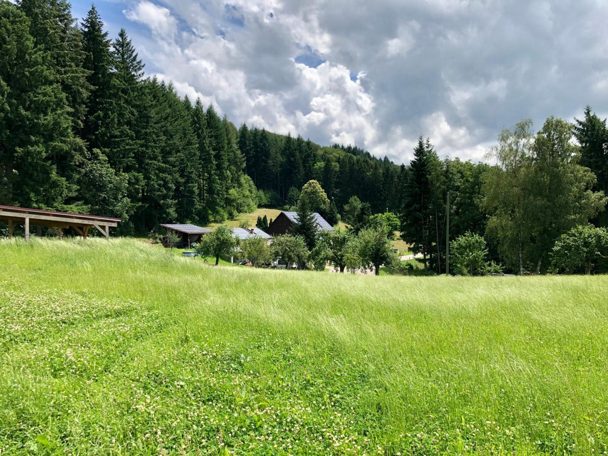 Ferien Im Schwarzwald Freiamt Exterior foto