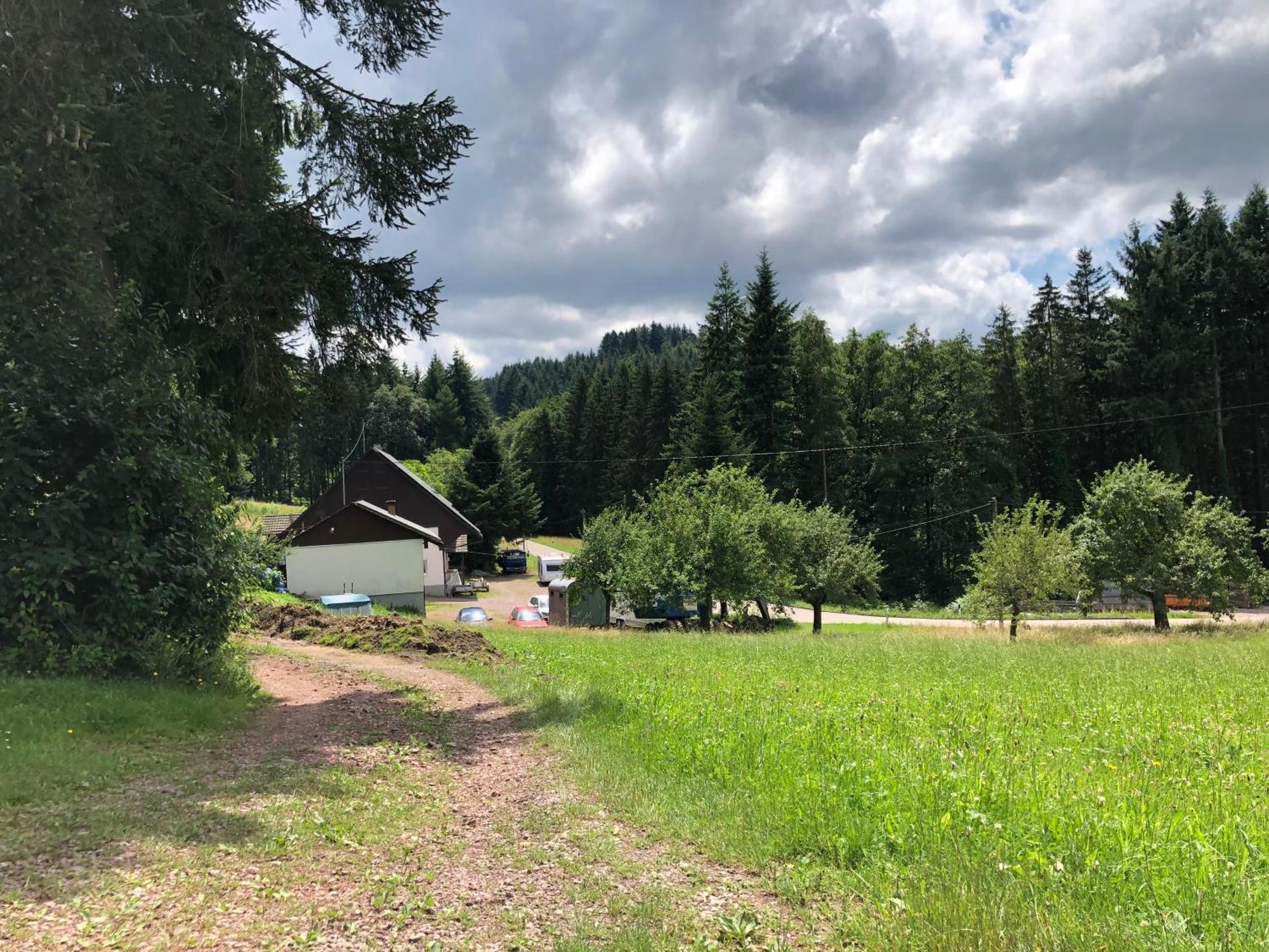 Ferien Im Schwarzwald Freiamt Exterior foto