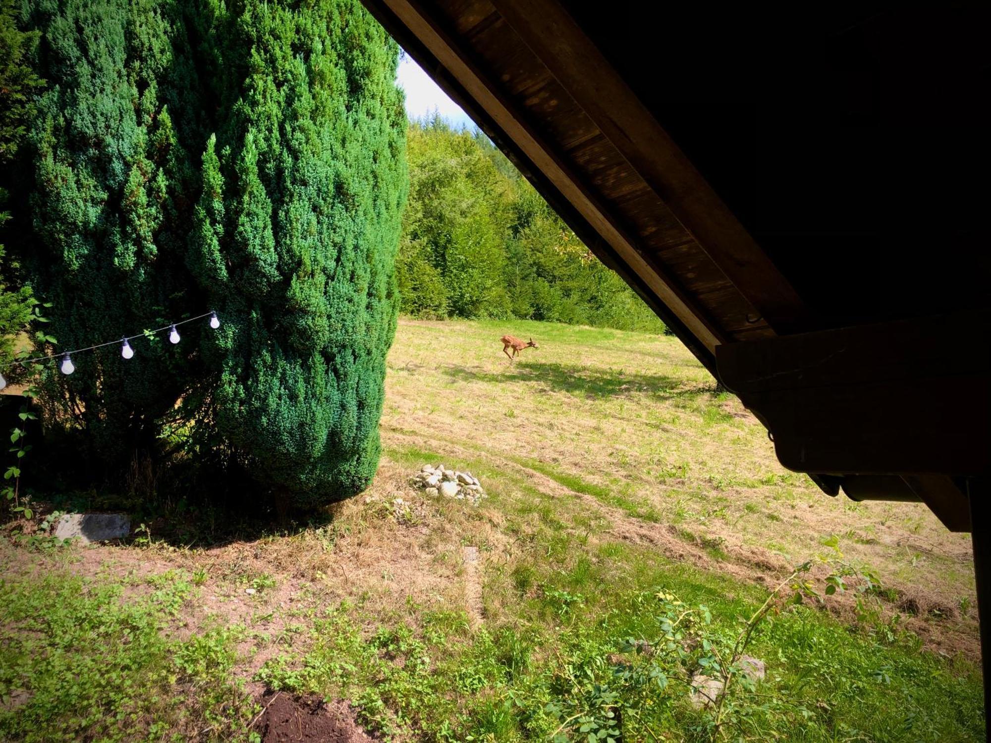 Ferien Im Schwarzwald Freiamt Exterior foto
