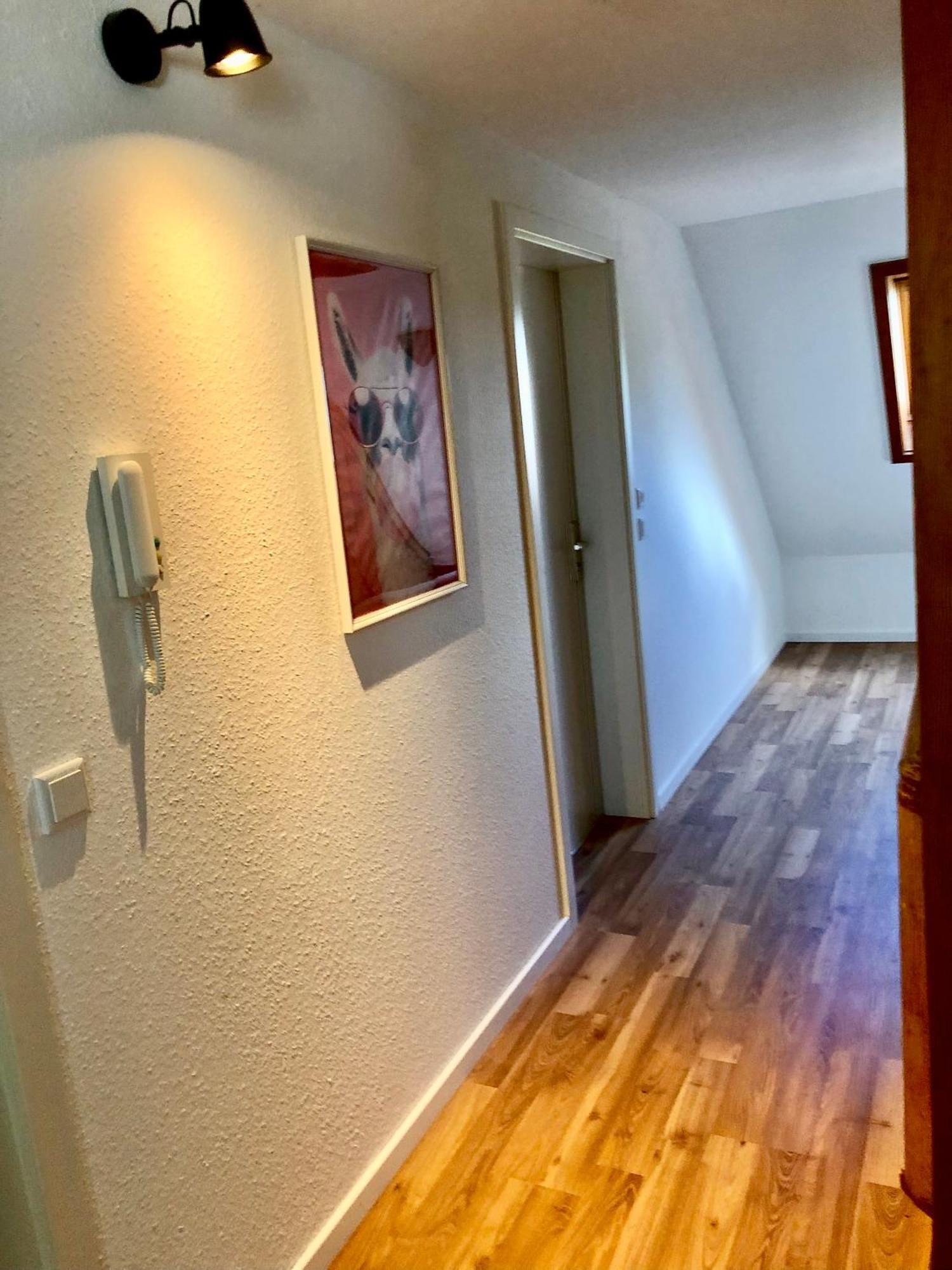 Ferien Im Schwarzwald Freiamt Exterior foto